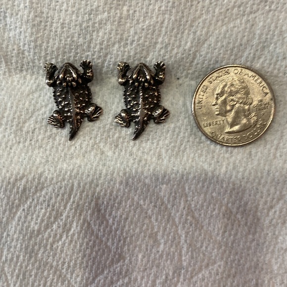 Sterling Silver Horny Toad earrings - Picture 9 of 9